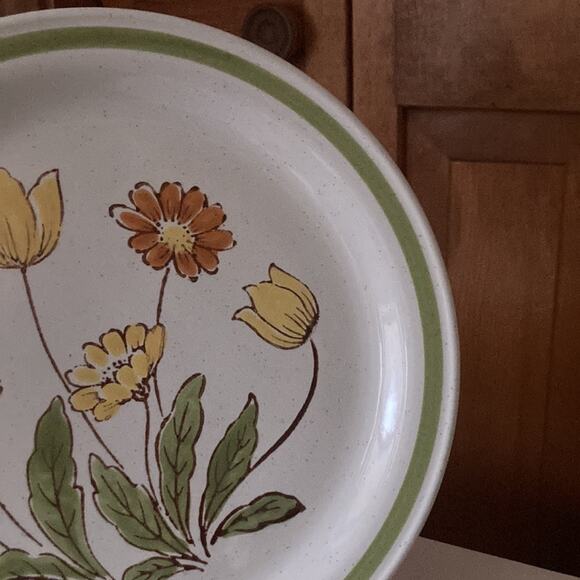 Vintage Country Casual “Sunnyvale” Dinner Plates, Set of 2 - Picture 3 of 7